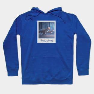 I know places aesthetic Hoodie